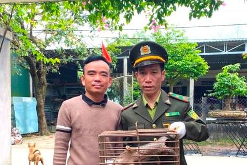 Con vật lạ nghi thú quý hiếm đi lạc vào vườn nhà dân