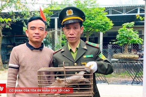 Tiếp nhận động vật rừng do người dân tự nguyện giao nộp