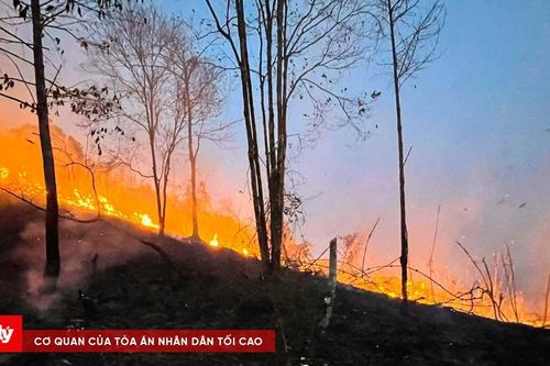 Cháy hơn 10ha rừng tự nhiên Khuôn Tát
