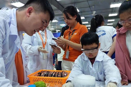 Học sinh Đà Nẵng làm thí nghiệm khoa học, trổ tài thiết kế