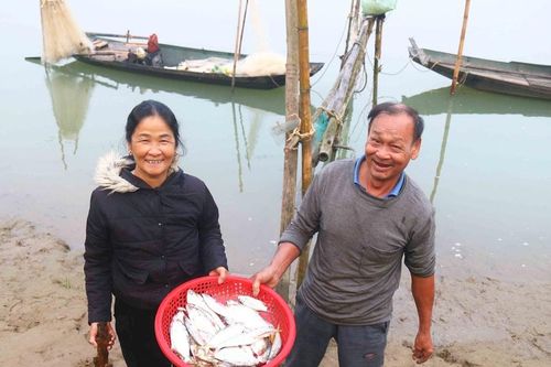 Thức đêm đánh cá mòi trên sông Lam