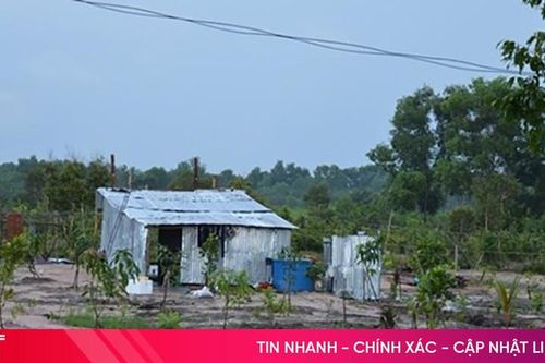 Xây dựng nhà tạm trên đất trồng cây lâu năm bị phạt đến 300 triệu đồng