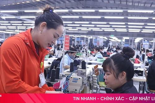 Đơn hàng dồi dào, doanh nghiệp may mặc Hà Tĩnh tự tin chinh phục thị trường châu Âu