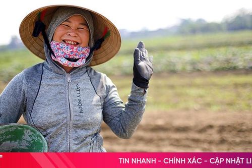 Nông dân phấn khởi xuống giống rau vụ xuân