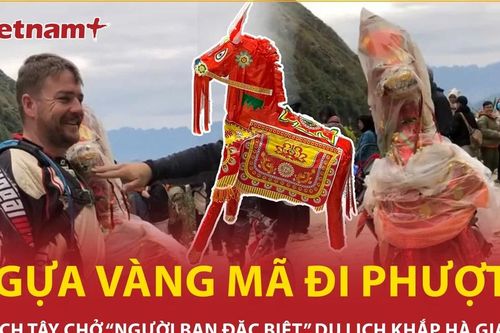 Khách Tây hào hứng chở ngựa vàng mã đi phượt Hà Giang