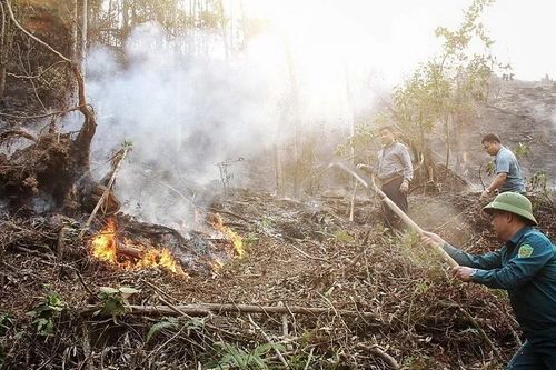 Lại xảy ra cháy rừng giáp ranh hai tỉnh Tuyên Quang và Thái Nguyên