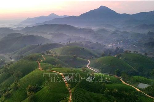 Thu hút nguồn khách quốc tế đến với Phú Thọ