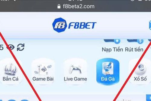 Sự thật phía sau ma trận cờ bạc online - Kỳ 3: Trải nghiệm đá gà trực tuyến, từ miễn phí đến trắng tay trong 'phút mốt'