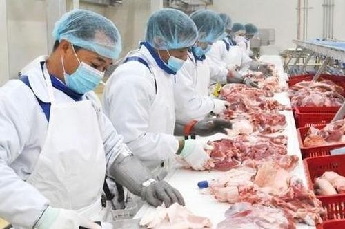 Biến động nhân sự thượng tầng tại BAF Việt Nam