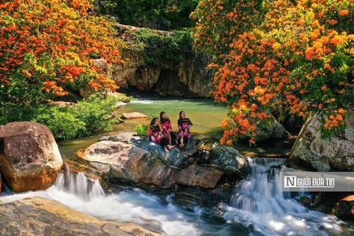 Hàng ngàn du khách đổ về suối Tà Má thưởng ngoạn hoa trang