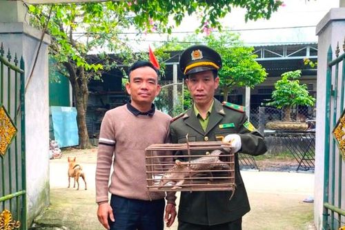Thấy con vật có hình thù kỳ lạ trong vườn, người đàn ông có hành động bất ngờ