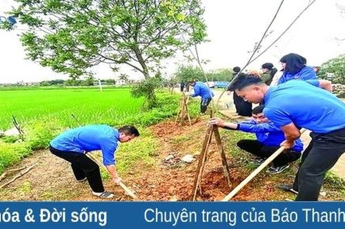Sôi nổi 'Tết trồng cây, đời đời nhớ ơn Bác Hồ'