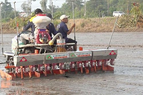 Tái cơ cấu nông nghiệp góp phần nâng cao giá trị gia tăng và phát triển bền vững