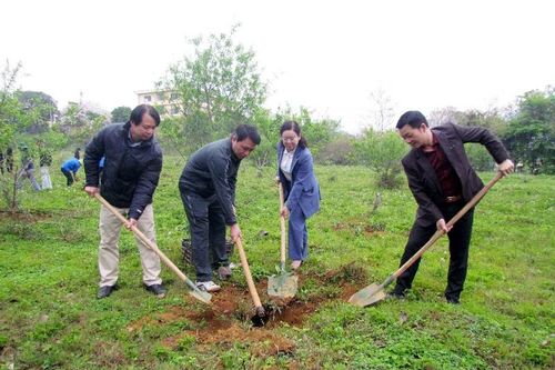 Phát động 'Tết trồng cây đời đời nhớ ơn Bác Hồ' - Xuân Ất Tỵ năm 2025