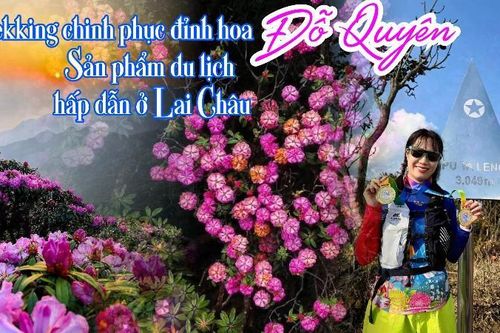 Trekking chinh phục đỉnh hoa Đỗ Quyên - Sản phẩm du lịch hấp dẫn ở Lai Châu