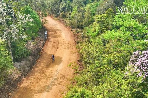 Ngày 12/4 diễn ra Giải đua xe đạp địa hình 'Đi giữa mùa hoa đỗ quyên' năm 2025