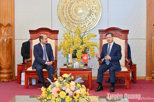 Chủ tịch UBND tỉnh Nguyễn Văn Sơn tiếp Đoàn công tác Đại sứ quán Ấn Độ tại Việt Nam