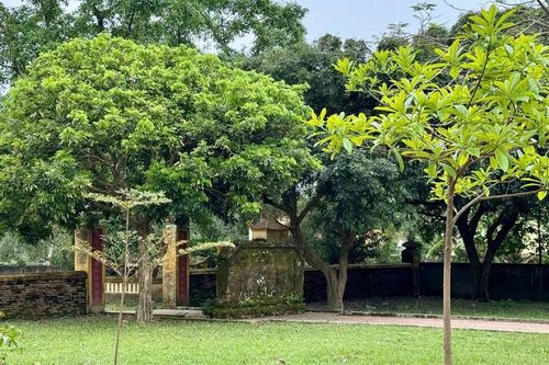 Tâm sự của người 'giữ' chùa quê