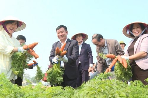 Bộ trưởng Nông nghiệp Hàn Quốc thăm vùng 'thủ phủ cà rốt'