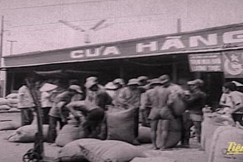 Phim tài liệu 'Vượt sóng': Chuyện về Thành phố 50 mùa hoa nở