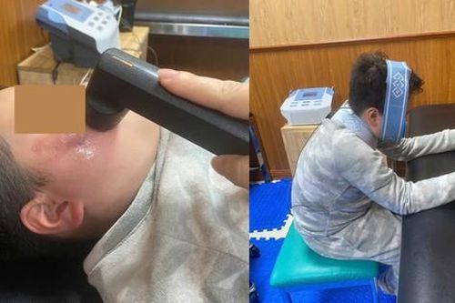 Bé trai thương tích nặng do chó nhà cắn: Tiết lộ đáng sợ về 'thủ phạm'