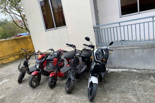 Vợ chồng ở Nam Định bị bắt vì trộm cắp tài sản