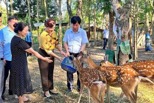 Hướng đi mới ở 'thủ phủ' nhung hươu