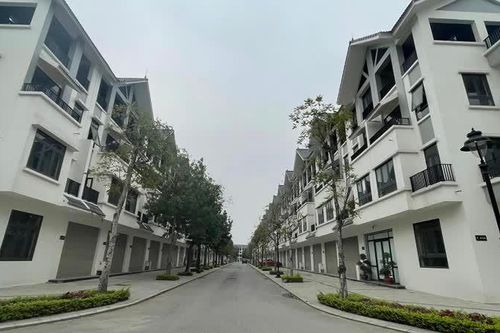 Biệt thự, nhà liền kề bỏ hoang nhưng giá cao ngất ngưởng