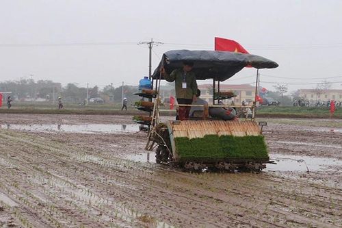 Công nghệ cao thúc đẩy nông nghiệp phát triển mạnh mẽ
