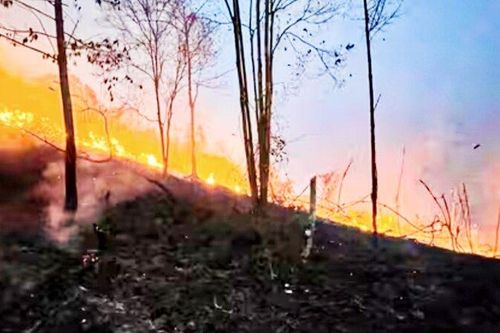 Thái Nguyên đã dập được các đám cháy rừng