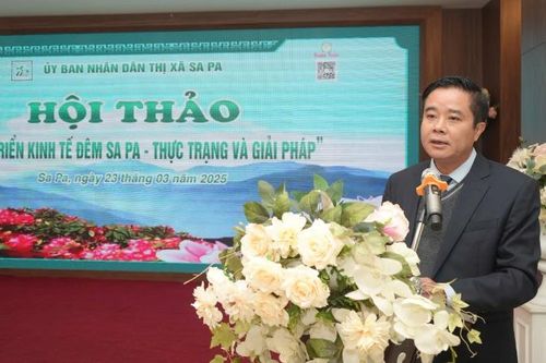 Sa Pa 'Đánh thức đêm - Thắp sáng nền kinh tế'