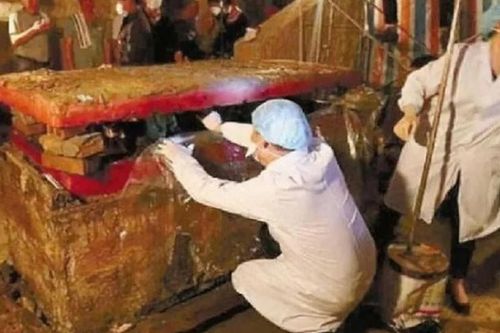 Vén tấm màn che hài cốt, chuyên gia hô lớn: 'Chạy ngay đi!'