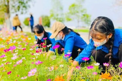 Tuổi trẻ Nghệ An với những phần việc ý nghĩa trị giá hàng tỉ đồng