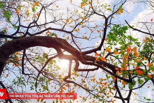 Thời tiết ngày 23/3: Bắc Bộ ngày nắng hanh, sáng và đêm lạnh