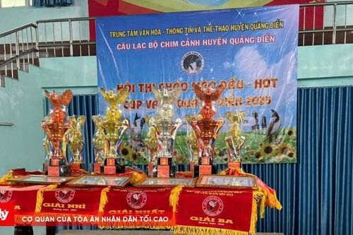 Huyện Quảng Điền yêu cầu báo cáo về hội thi chim chào mào