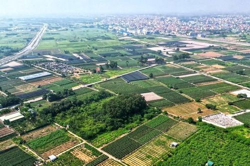 Hưng Yên đấu giá 178 suất đất, thấp nhất 10 triệu đồng/m2