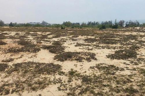 Nguyên nhân dự án có mức đầu tư 150 tỷ đồng bị UBND tỉnh Quảng Bình thu hồi