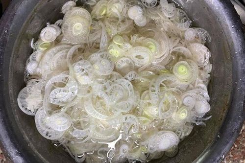 Loại rau dùng để chăn nuôi ở Việt Nam nhưng lại là đặc sản ở Nhật