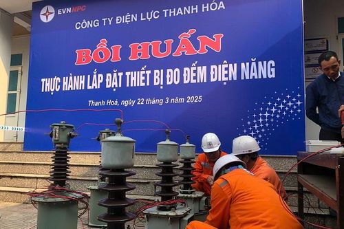 PC Thanh Hóa bồi huấn nghiệp vụ treo, tháo hệ thống đo đếm điện năng trung, hạ áp