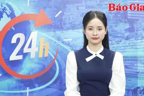 Gia Lai 24h: Giá hạt điều tăng cao nhưng nông dân kém vui