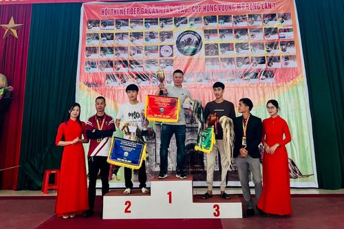 Hội thi nét đẹp gà cảnh Tân Châu Cúp Hùng Vương mở rộng lần thứ 1