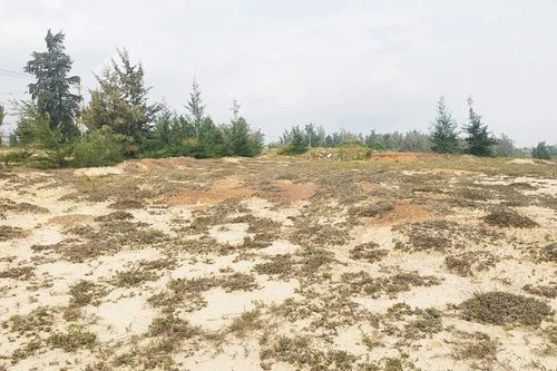 Quảng Bình: Thu hồi đất thực hiện dự án khu du lịch Indochina Quảng Bình Resort
