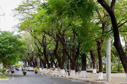 Ðiểm nhấn đô thị xanh