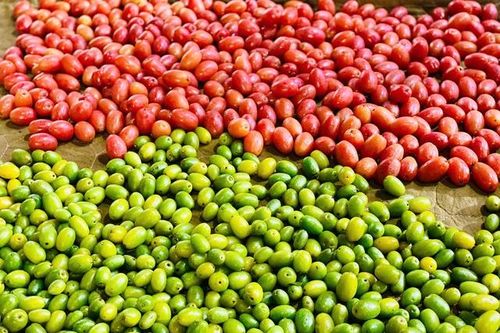 Loại quả quê trước cho không ai lấy nay giá 'chát' ngang hàng nhập khẩu