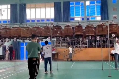 Sở không cấp phép, huyện vẫn tổ chức hội thi chim chào mào