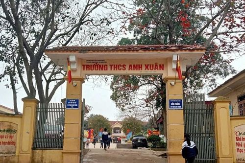 Nghệ An: 311 giáo viên bị truy thu tiền bảo hiểm?