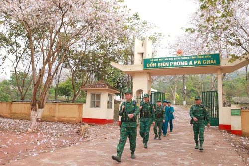 Tuần tra biên giới A Pa Chải mùa hoa ban