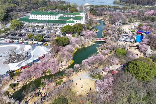 Mùa hoa nở rộ thu hút du khách đến Trung Quốc
