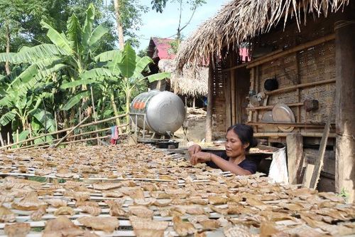 Khẩn trương xem xét, giải quyết các thủ tục để kịp thời cấp đất ở, gỡ 'nút thắt' trong xóa nhà tạm cho người Đan Lai ở Nghệ An