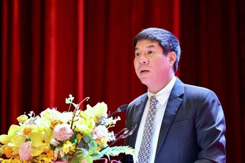 Khai mạc thi chọn đội tuyển quốc gia dự thi Olympic quốc tế, khu vực 2025